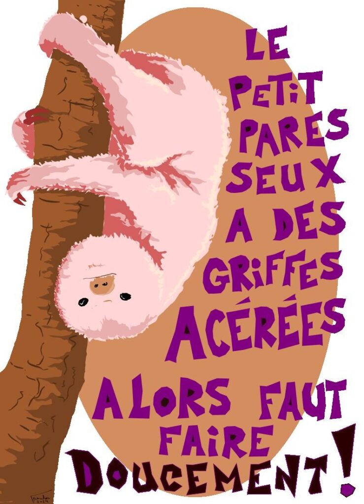un petit paresseux accroché à un arbre la tête en bas